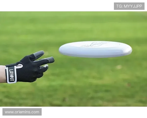 飞盘力量榜单揭晓深圳飞盘队荣登第一名展现强大实力